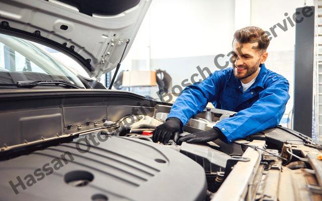 Şanlıurfa Citroen Servisi ve Bosch Car Servis Hizmetleri