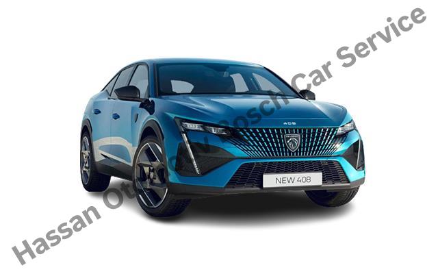 Şanlıurfa Peugeot Servisi
