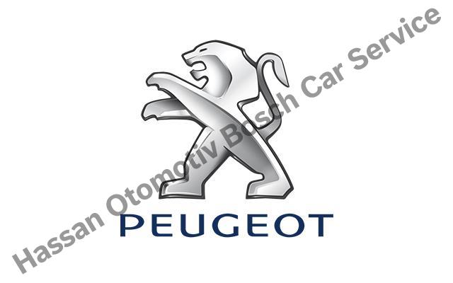 Şanlıurfa Peugeot Servisi