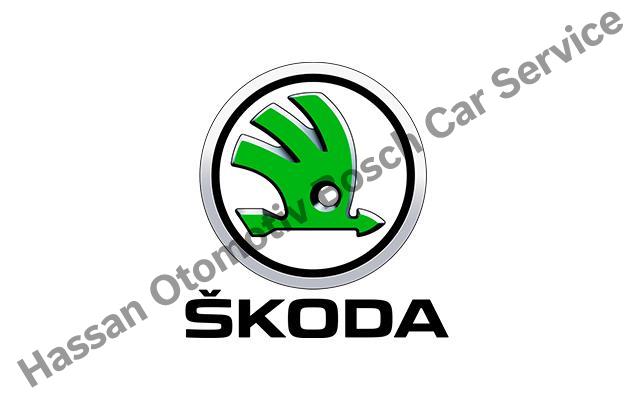 Şanlıurfa Skoda Servisi 