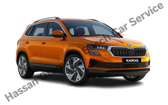 Şanlıurfa Skoda Servisi 